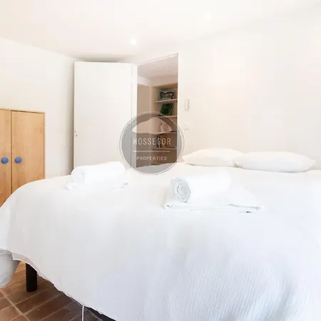 Analoma - - Piscine - Hébergement de vacances Seignosse